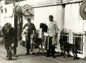 1912年泰坦尼克号船员照看狗 作者 英国摄影师